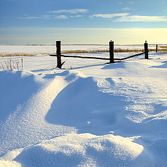 фото "Russian fence"