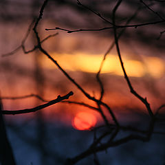 photo "Melting sunset"