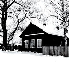 photo "Black-white winter..."