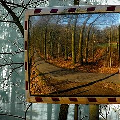 photo "mirror landscape"