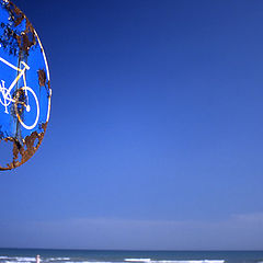 фото "road for bicycles"