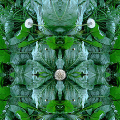 photo "***"
