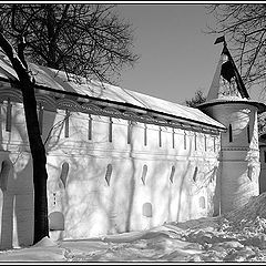 фото "Зимняя палитра"