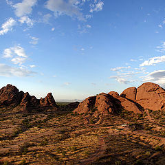 photo "Life on another planet"