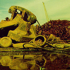 фото "..."