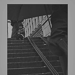фото "The litlle girl"