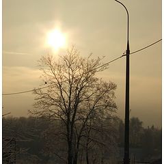 фото "Зимнее солнце"