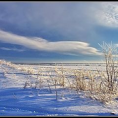 фото "Геометрия зимы"