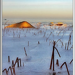 photo "Winter gulf #2"