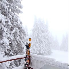 фото "Пейзаж с лыжами"