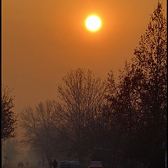 photo "After the sunrise"