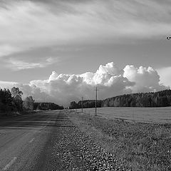 фото "Перед бурей"