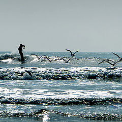 photo "a day of surf"