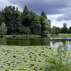 photo "storm will come"