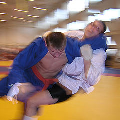 photo "Fighting Sambo"