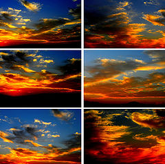 фото "Sunset Angels"