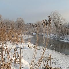 фото "Река Яуза"