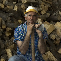 photo "the ransom firewood"