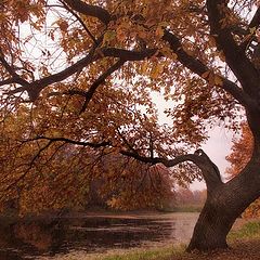 фото "Краски"