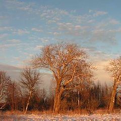 photo "Russian winter"