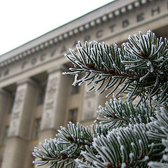 photo "Winter. My university."