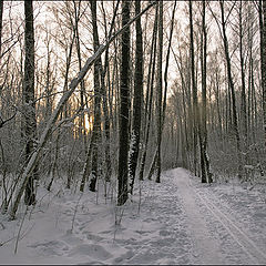 фото "Никого. - 28"