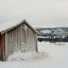 photo "a barn"