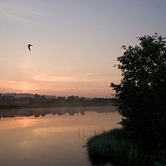 photo "Memoirs on summer. Morning."