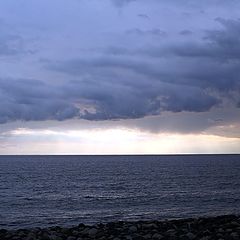 фото "Rain is coming"