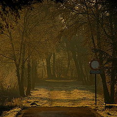 фото "dead end street"