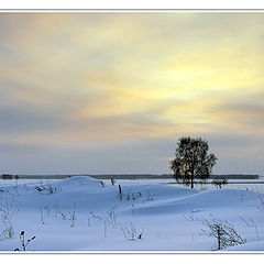 фото "ХОЛОД"