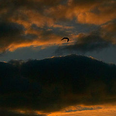 photo "Evening on Elba 2"