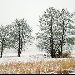 фото "Winter view"