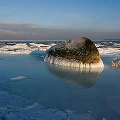 photo "Baltika"