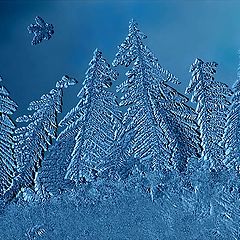 фото "Зимний лес на моем окне..."