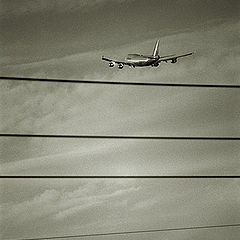 photo "Plane 3"