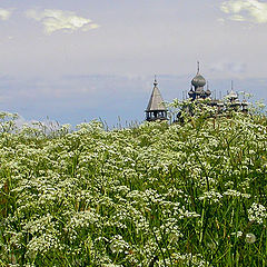 фото "ЖАРКОЕ ЛЕТО 2005"