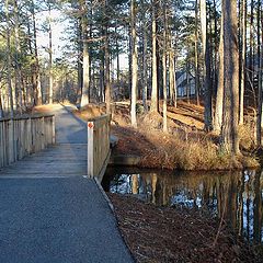 photo "At the bridge."