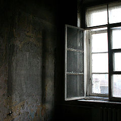 фото "Window"