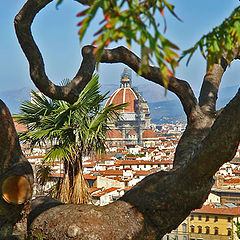 photo "Firenze"