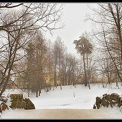 photo "Winter in an old park"