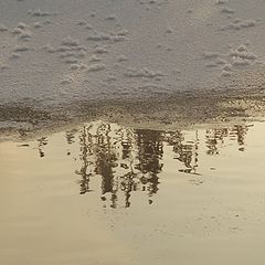 photo "Shining snow and reflection of herbs"