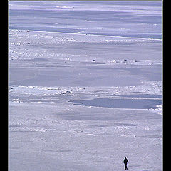 photo "Среди ледяного безмолвия"