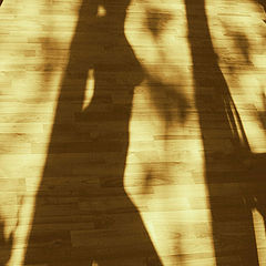 фото "just shadows"