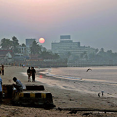 photo "Early Risers"