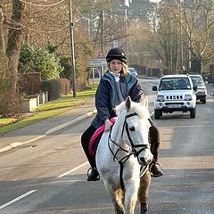 фото "Horses have the right of way ..."