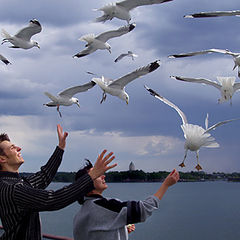 photo "seagull joy"