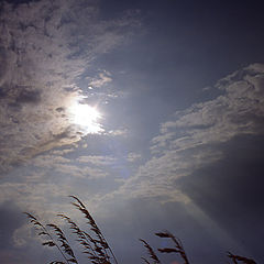 фото "Landscape of sea"