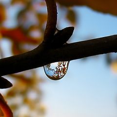 photo "Drop Life"