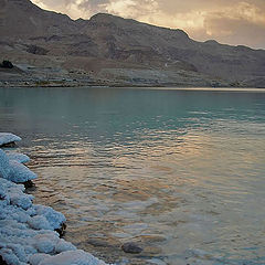 фото "Мертвое море 12"